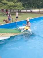 22'x47'x52' EZ Pool