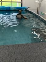 12'x27'x52' EZ Pool - Image 2