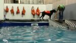 7'x22'x52' EZ Pool - Image 5
