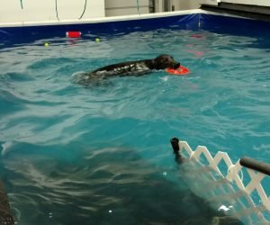 IMG_20161217_112404455