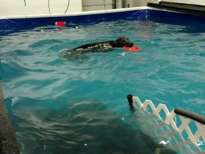 IMG_20161217_112404455