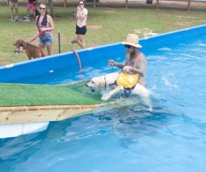 pool4