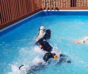 really great pool pic